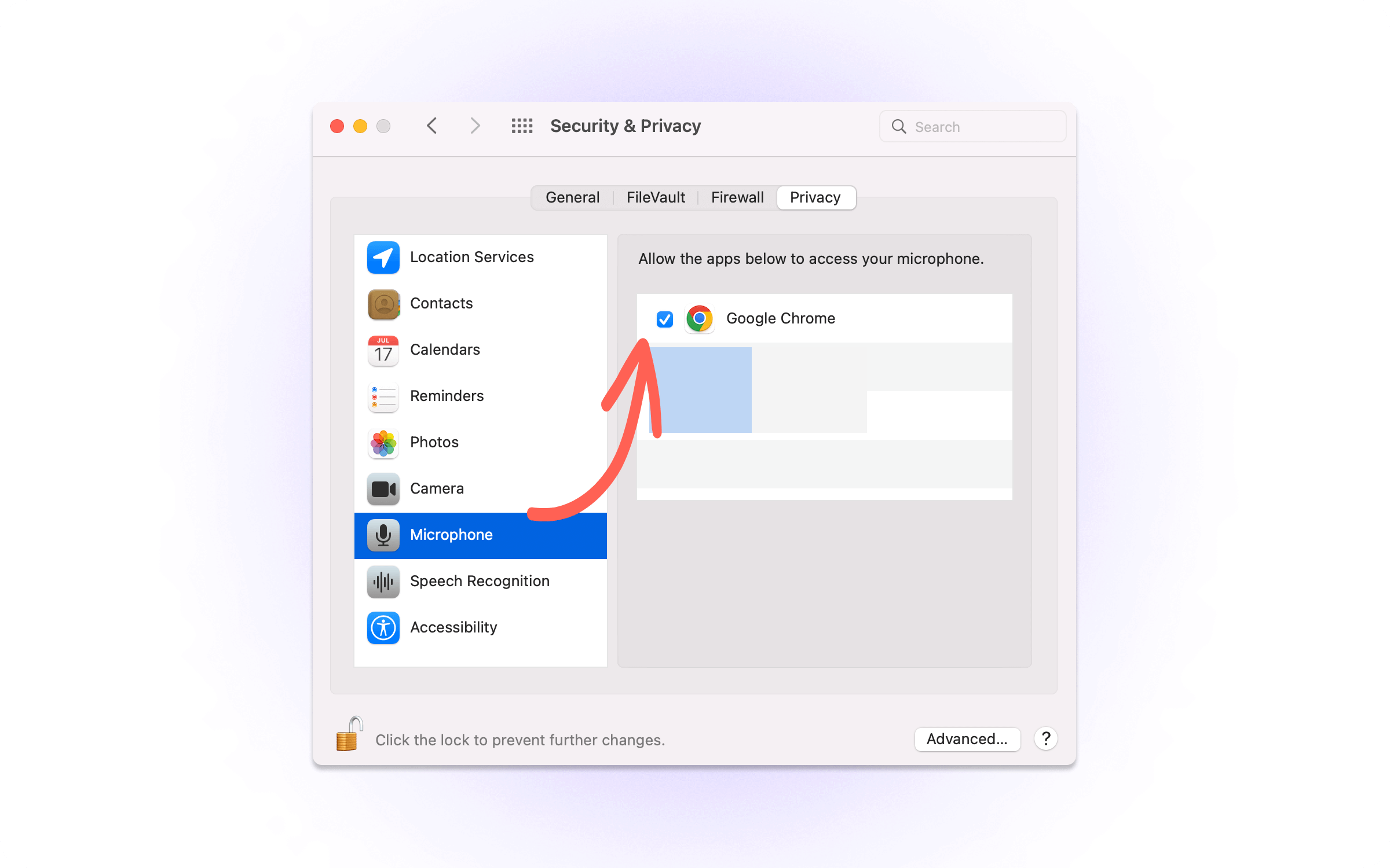 allow browser access microphone on mac