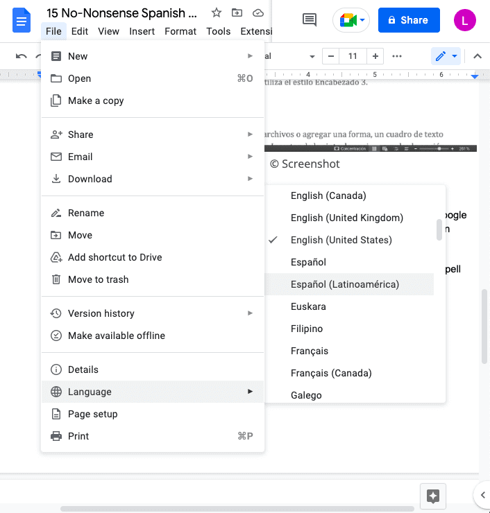 google spanish checker