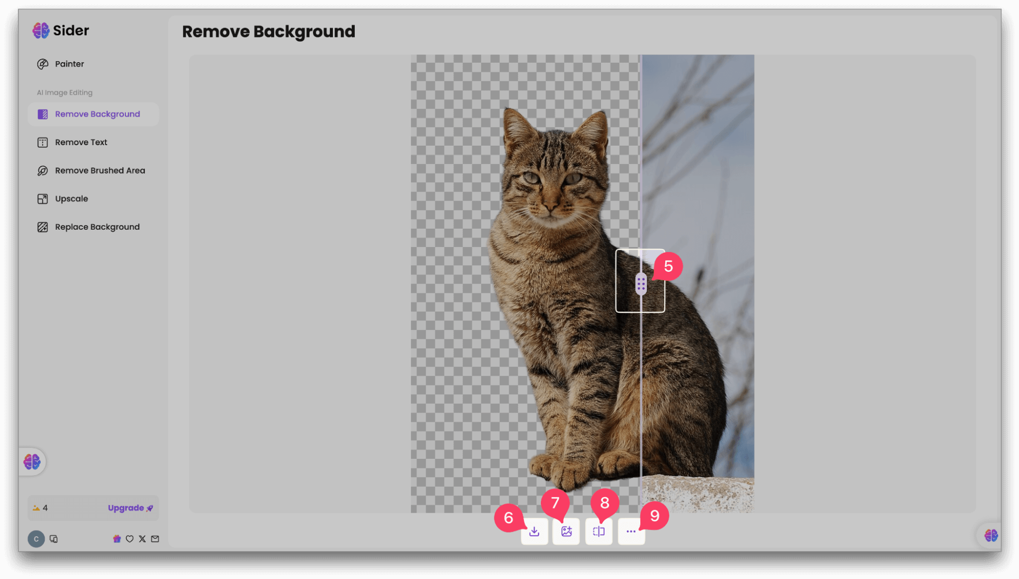 Sider Painter Sider Painter